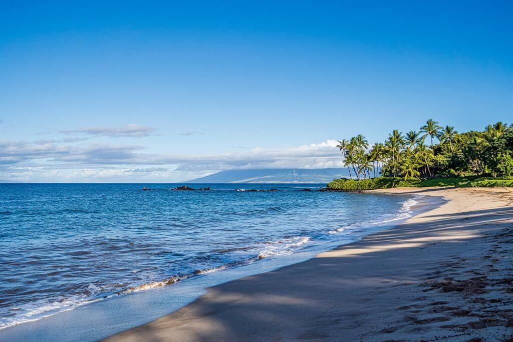 Aloha Moon - A Chic And Dreamy Modern Tropical Hideaway! Leilighet Wailea  Eksteriør bilde